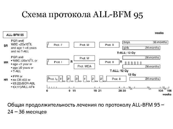 Схема протокола ALL-BFM 95 Общая продолжительность лечения по протоколу ALL-BFM 95 – 24 –