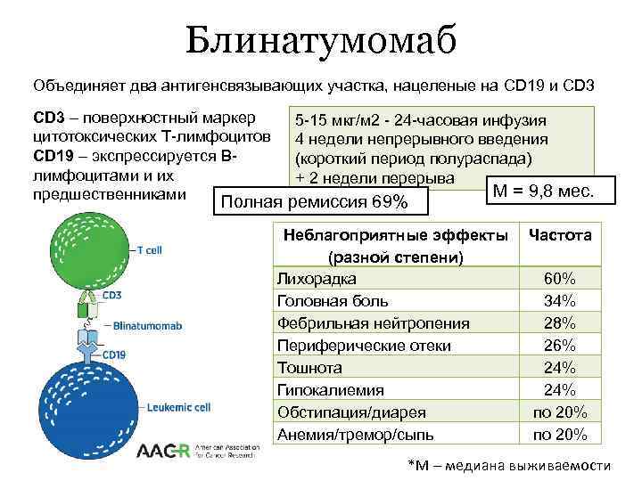 Блинатумомаб Объединяет два антигенсвязывающих участка, нацеленые на CD 19 и CD 3 – поверхностный