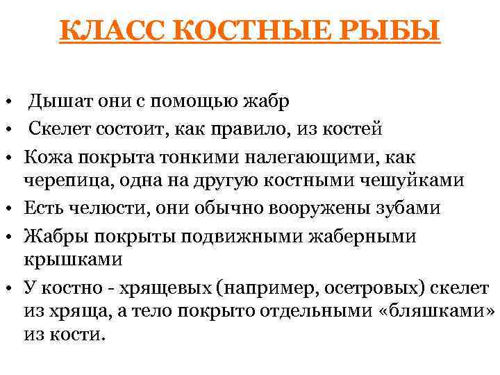 КЛАСС КОСТНЫЕ РЫБЫ • Дышат они с помощью жабр • Скелет состоит, как правило,