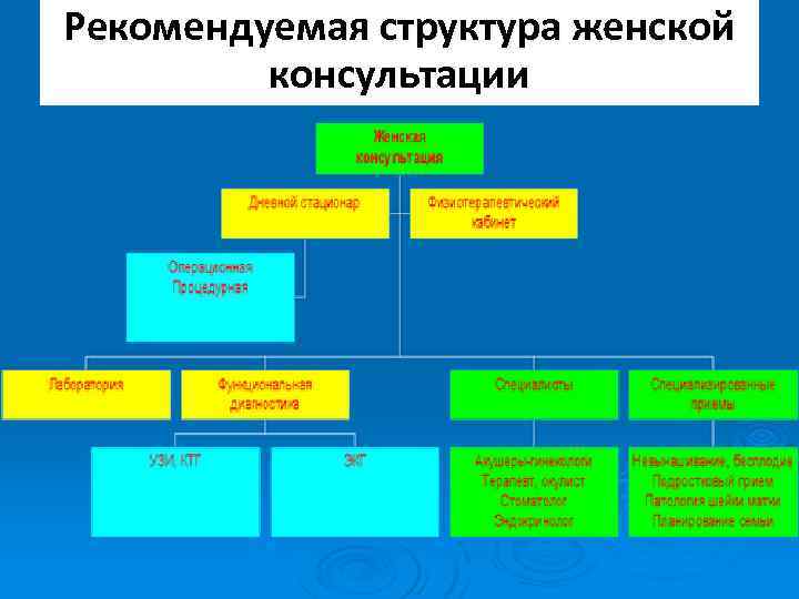 Структура женской консультации схема