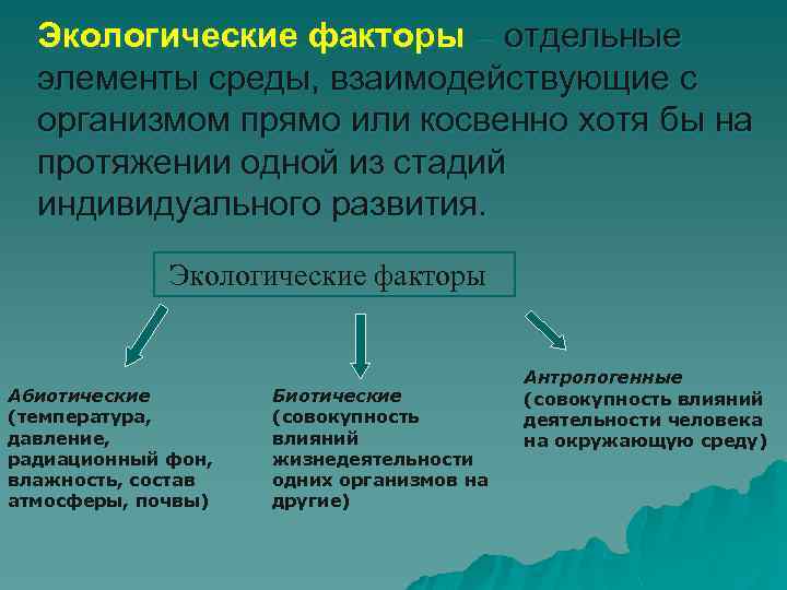 Экологические факторы – отдельные элементы среды, взаимодействующие с организмом прямо или косвенно хотя бы