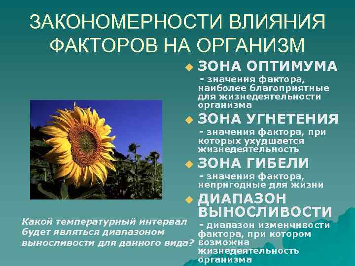 ЗАКОНОМЕРНОСТИ ВЛИЯНИЯ ФАКТОРОВ НА ОРГАНИЗМ u ЗОНА ОПТИМУМА - значения фактора, наиболее благоприятные для