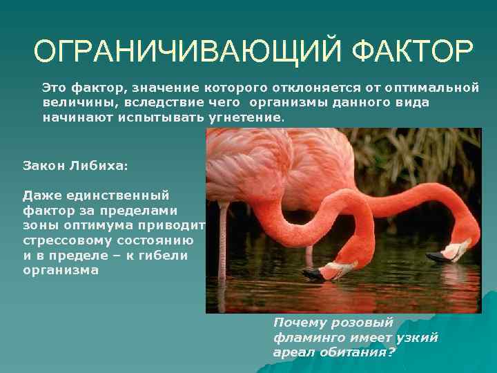 ОГРАНИЧИВАЮЩИЙ ФАКТОР Это фактор, значение которого отклоняется от оптимальной величины, вследствие чего организмы данного