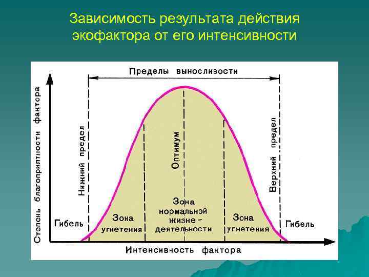 Зависимость результата действия экофактора от его интенсивности 