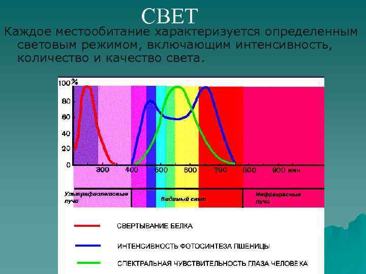 СВЕТ Каждое местообитание характеризуется определенным световым режимом, включающим интенсивность, количество и качество света. 