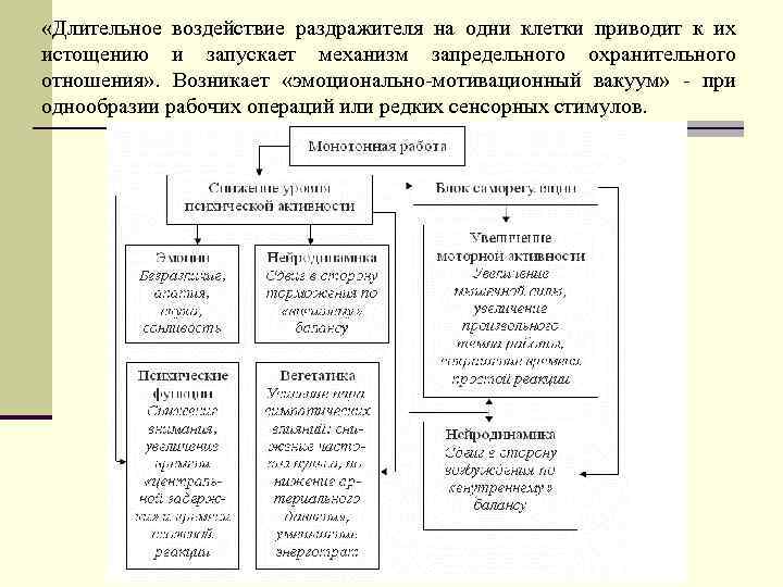  «Длительное воздействие раздражителя на одни клетки приводит к их истощению и запускает механизм