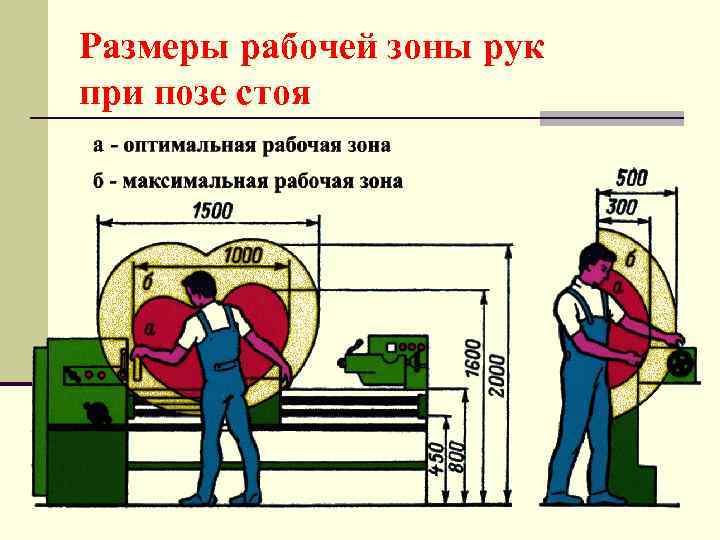 Размеры рабочей зоны рук при позе стоя 