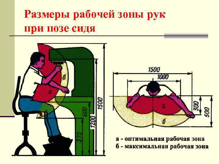 Размеры рабочей зоны рук при позе сидя 