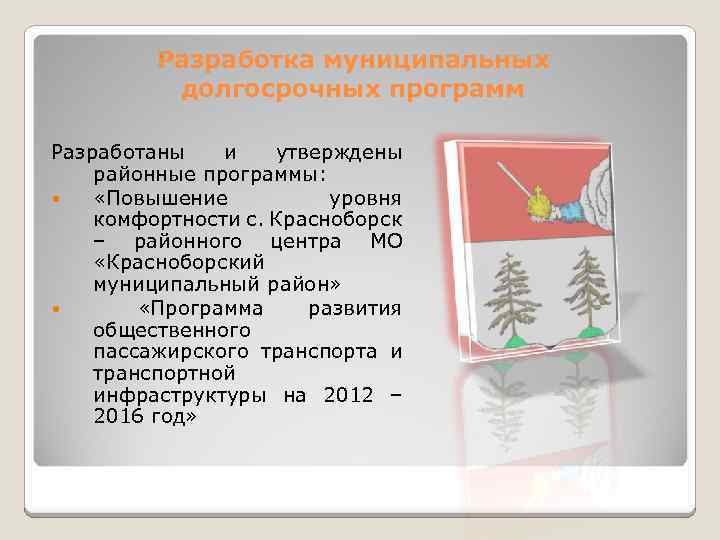 Разработка муниципальных долгосрочных программ Разработаны и утверждены районные программы: «Повышение уровня комфортности с. Красноборск