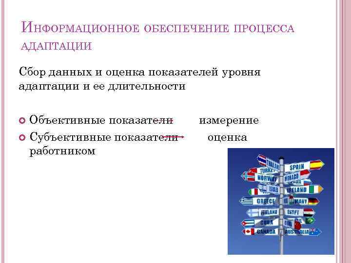 ИНФОРМАЦИОННОЕ ОБЕСПЕЧЕНИЕ ПРОЦЕССА АДАПТАЦИИ Сбор данных и оценка показателей уровня адаптации и ее длительности