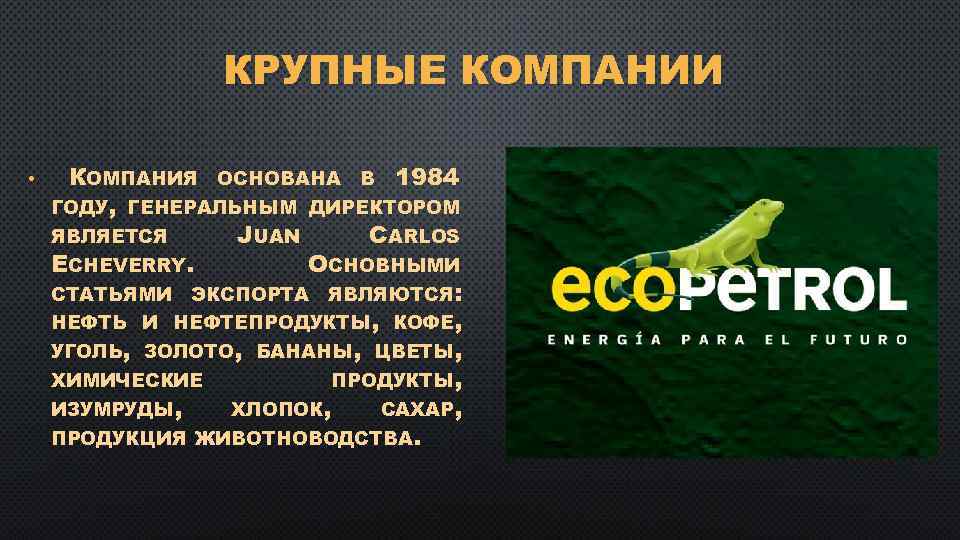 КРУПНЫЕ КОМПАНИИ • КОМПАНИЯ ОСНОВАНА В 1984 ГОДУ, ГЕНЕРАЛЬНЫМ ДИРЕКТОРОМ ЯВЛЯЕТСЯ JUAN CARLOS ECHEVERRY.