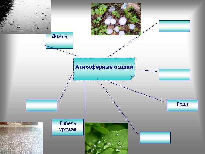 Дождь Атмосферные осадки Град Гибель урожая 