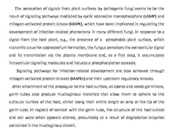 The perception of signals from plant surfaces by pathogenic fungi seems to be the