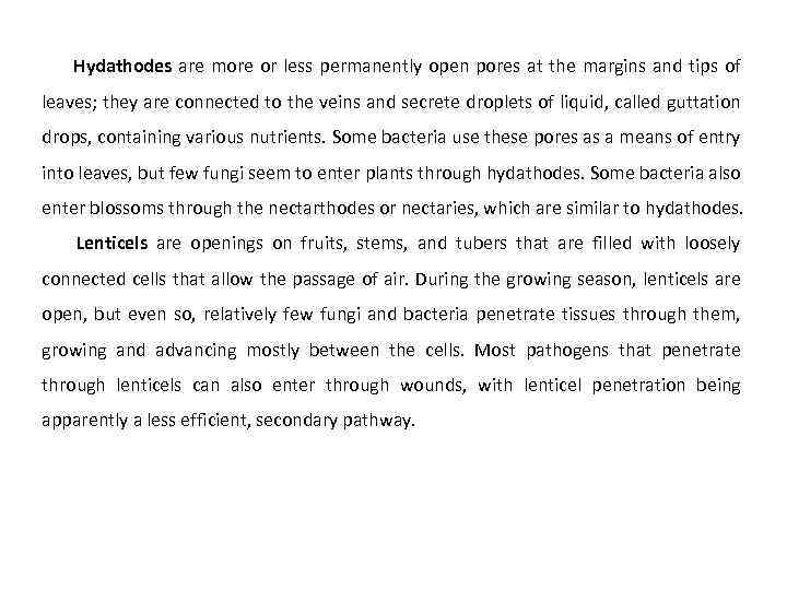 Hydathodes are more or less permanently open pores at the margins and tips of