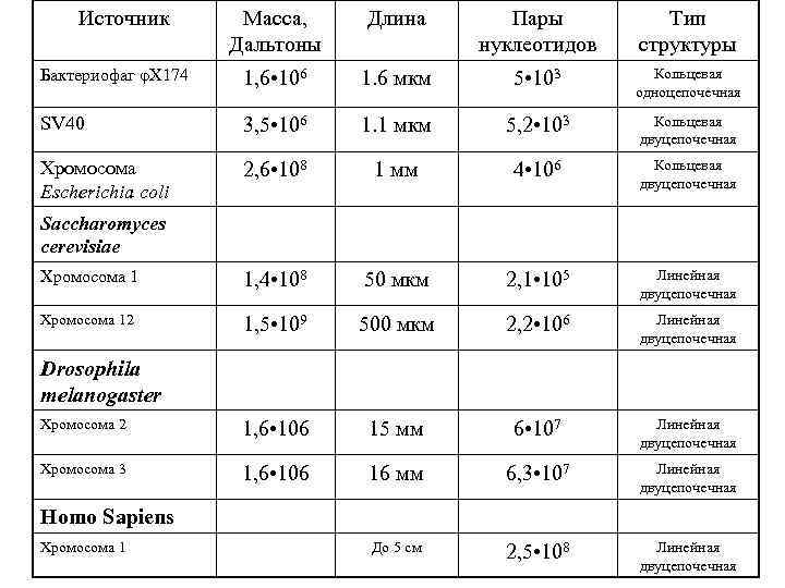 Источник Масса, Дальтоны Длина Пары нуклеотидов Тип структуры Бактериофаг φХ 174 1, 6 •