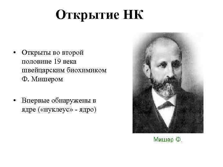 Открытие НК • Открыты во второй половине 19 века швейцарским биохимиком Ф. Мишером •
