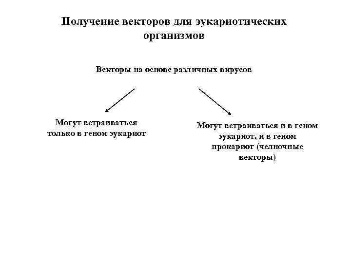 Получение векторов для эукариотических организмов Векторы на основе различных вирусов Могут встраиваться только в