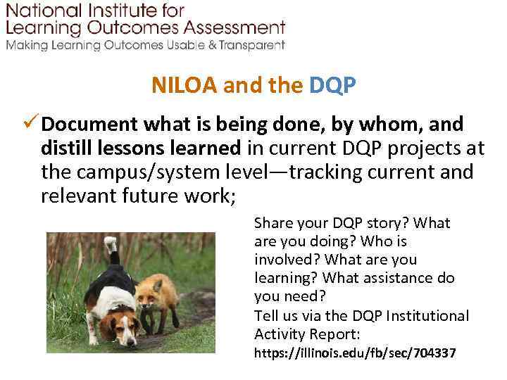 NILOA and the DQP ü Document what is being done, by whom, and distill