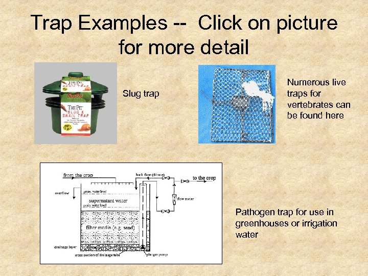 Trap Examples -- Click on picture for more detail Slug trap Numerous live traps