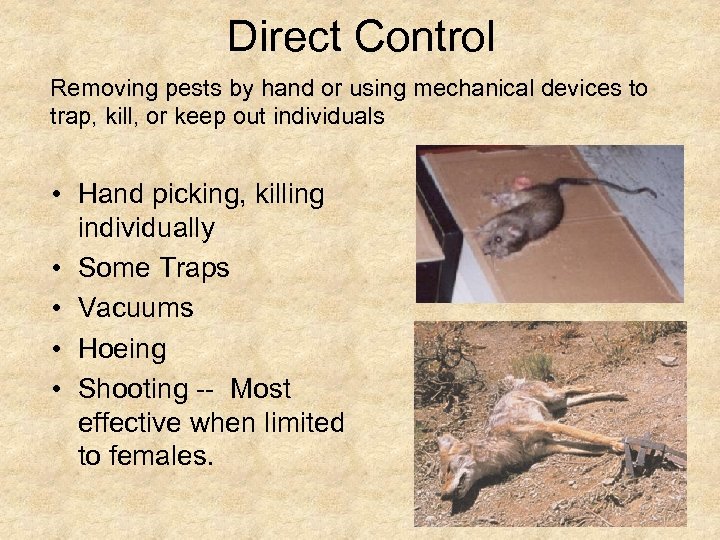 Direct Control Removing pests by hand or using mechanical devices to trap, kill, or