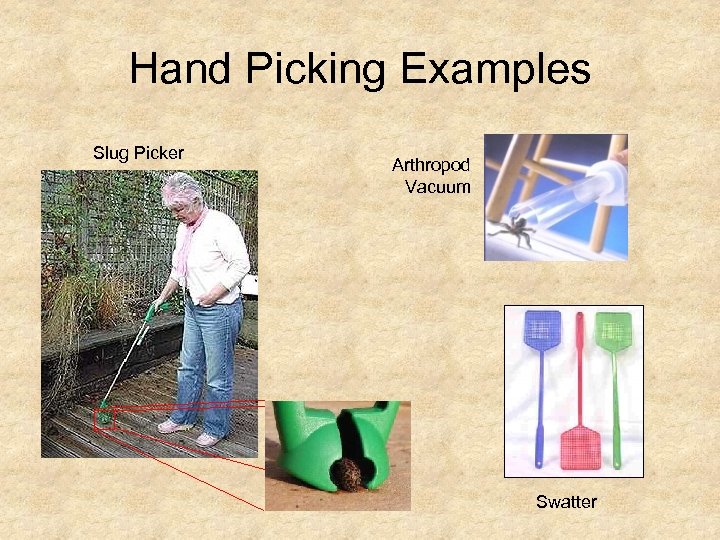 Hand Picking Examples Slug Picker Arthropod Vacuum Swatter 