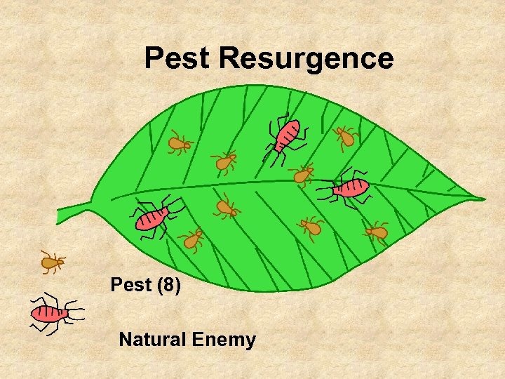 Pest Resurgence Pest (8) Natural Enemy 