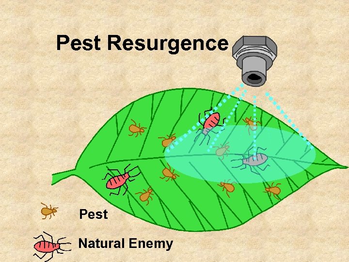 Pest Resurgence Pest Natural Enemy 