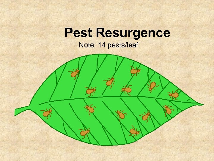 Pest Resurgence Note: 14 pests/leaf 