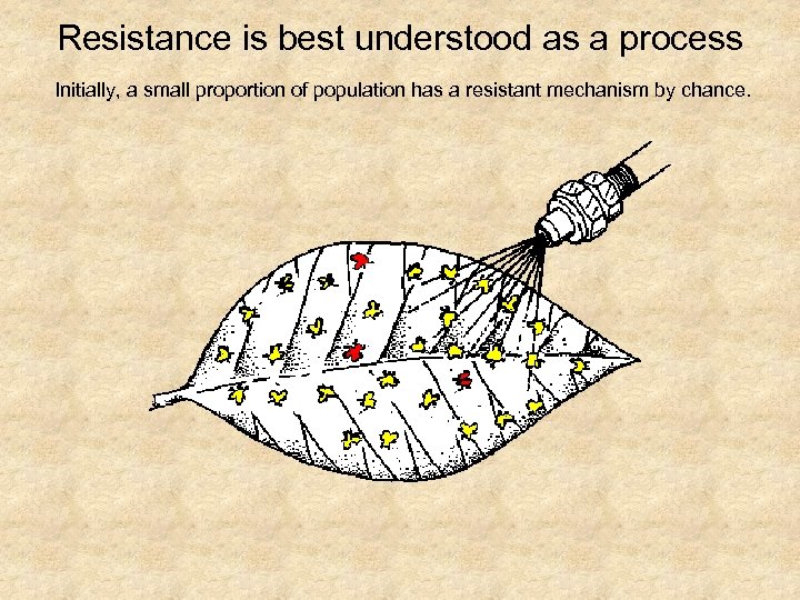 Resistance is best understood as a process Initially, a small proportion of population has