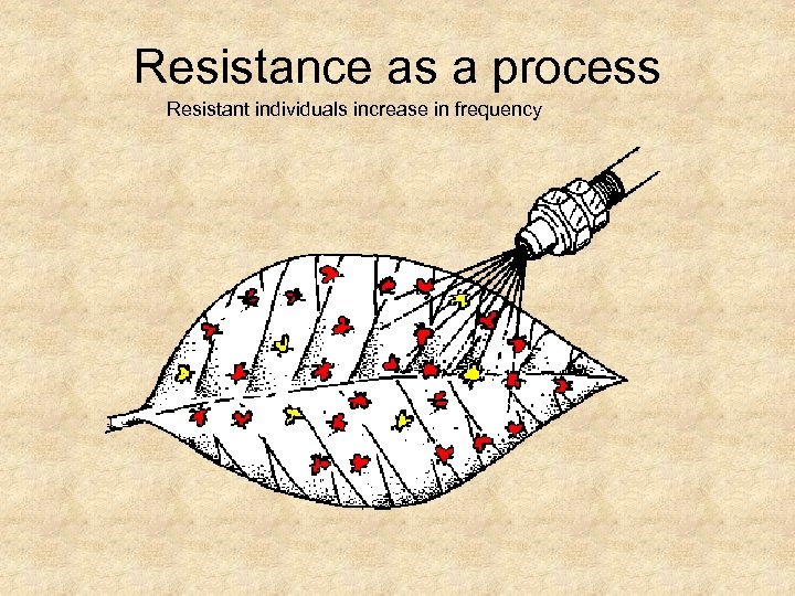 Resistance as a process Resistant individuals increase in frequency 