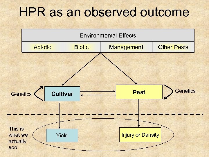 HPR as an observed outcome Environmental Effects Abiotic Genetics This is what we actually