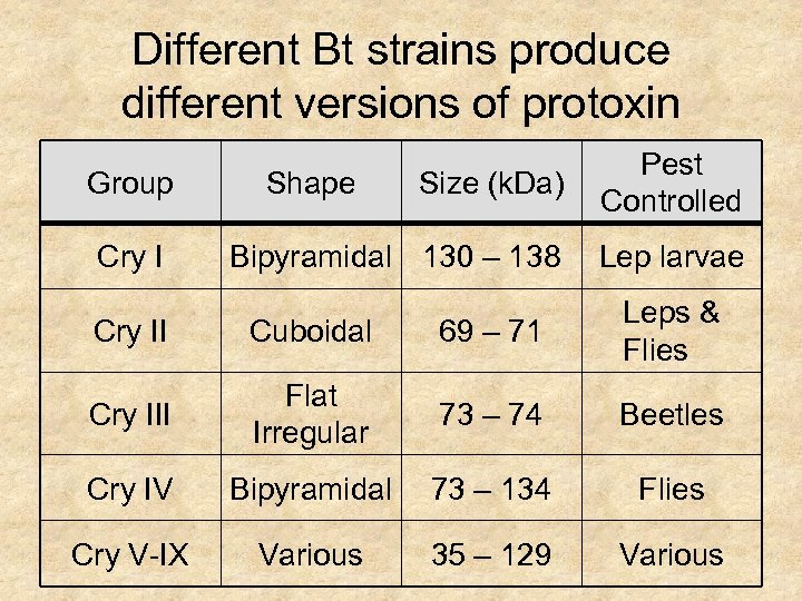 Different Bt strains produce different versions of protoxin Group Cry I Size (k. Da)