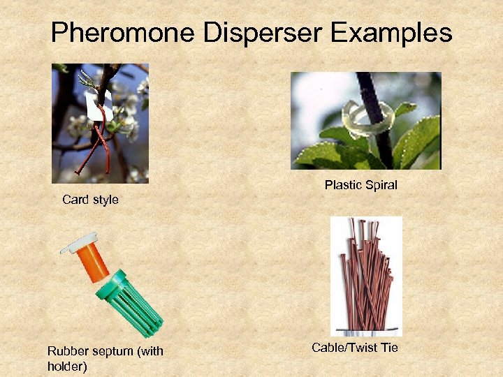 Pheromone Disperser Examples Plastic Spiral Card style Rubber septum (with holder) Cable/Twist Tie 