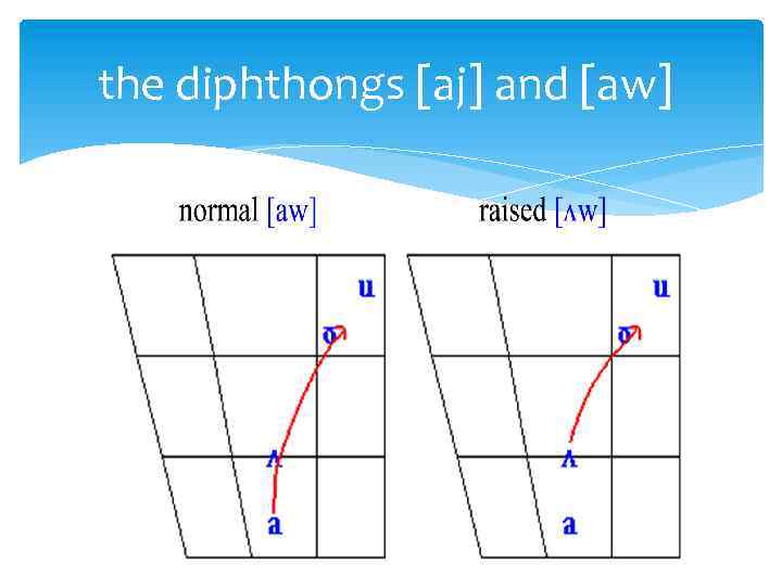 the diphthongs [aj] and [aw] 