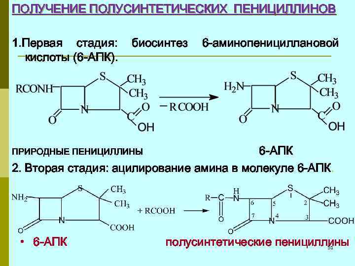 ПОЛУЧЕНИЕ ПОЛУСИНТЕТИЧЕСКИХ ПЕНИЦИЛЛИНОВ 1. Первая стадия: кислоты (6 -АПК). биосинтез 6 -аминопенициллановой 6 -АПК