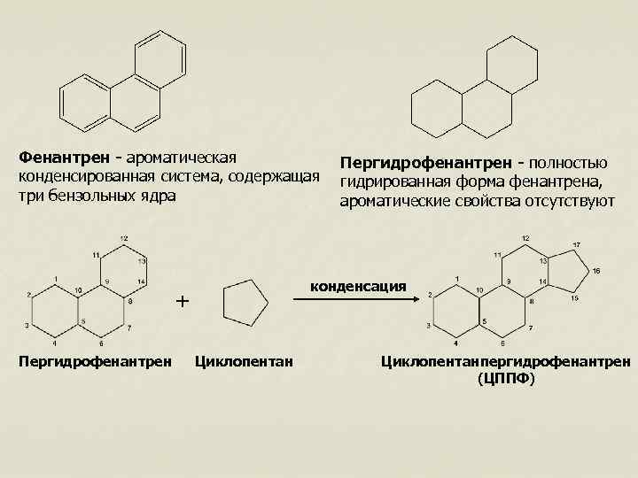 Фенантрен - ароматическая Пергидрофенантрен - полностью конденсированная система, содержащая гидрированная форма фенантрена, три бензольных