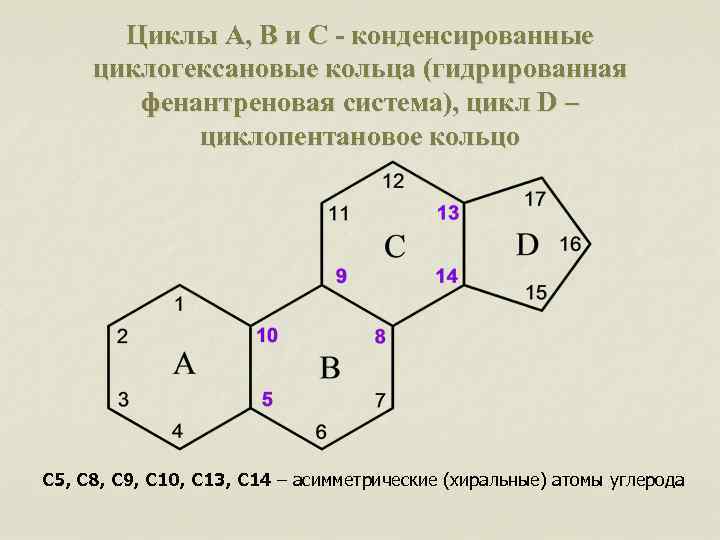 Циклы A, B и C - конденсированные циклогексановые кольца (гидрированная фенантреновая система), цикл D