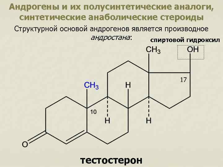 Схема образования андрогенов