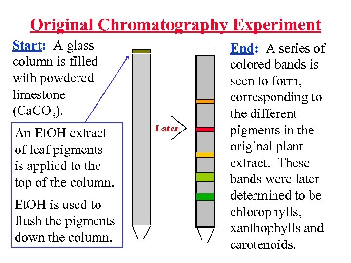 Original Chromatography Experiment Start: A glass column is filled with powdered limestone (Ca. CO