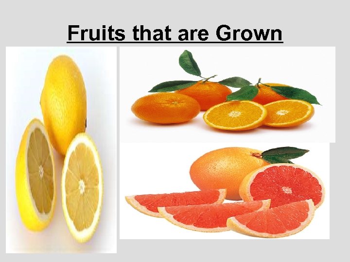 Fruits that are Grown » 