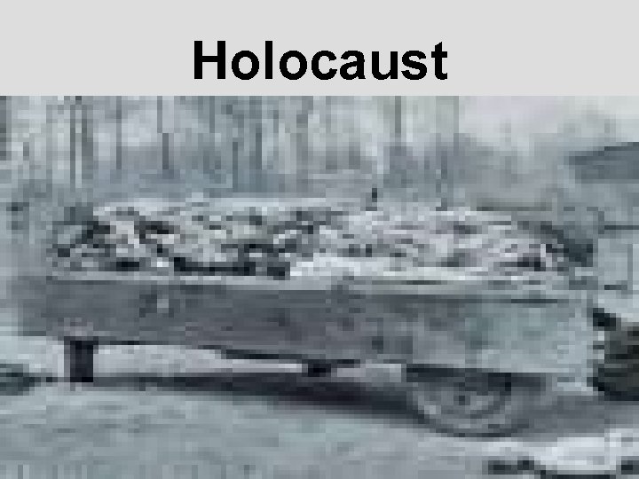 Holocaust 