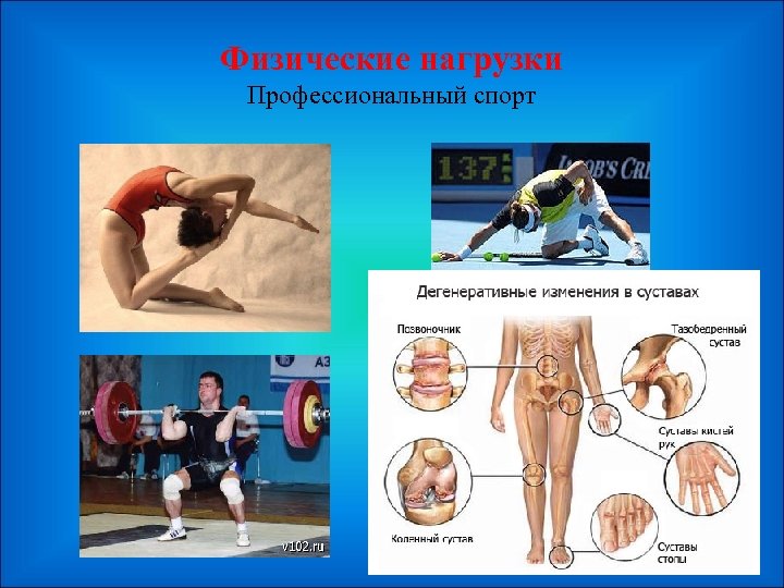 Физические нагрузки Профессиональный спорт 