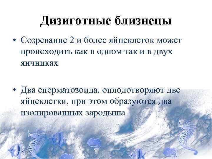 Дизиготные близнецы • Созревание 2 и более яйцеклеток может происходить как в одном так