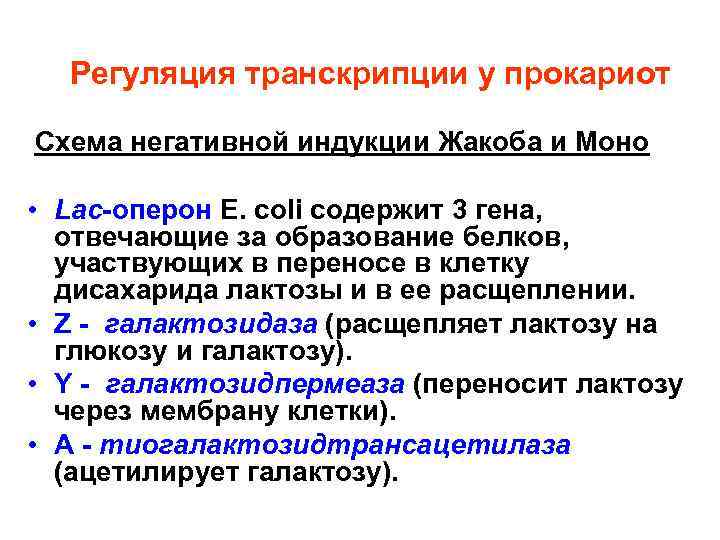 Регуляция транскрипции у прокариот Схема негативной индукции Жакоба и Моно • Lac-оперон E. coli