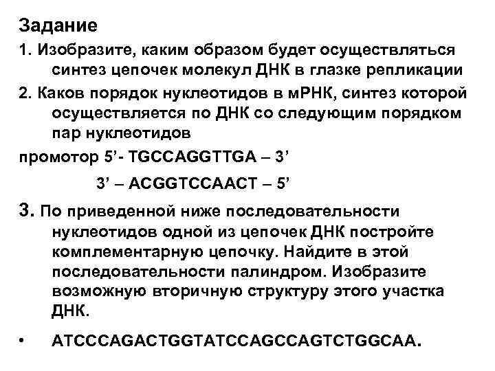 Задание 1. Изобразите, каким образом будет осуществляться синтез цепочек молекул ДНК в глазке репликации