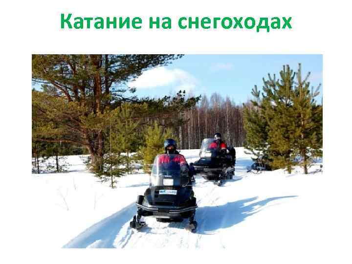 Катание на снегоходах 