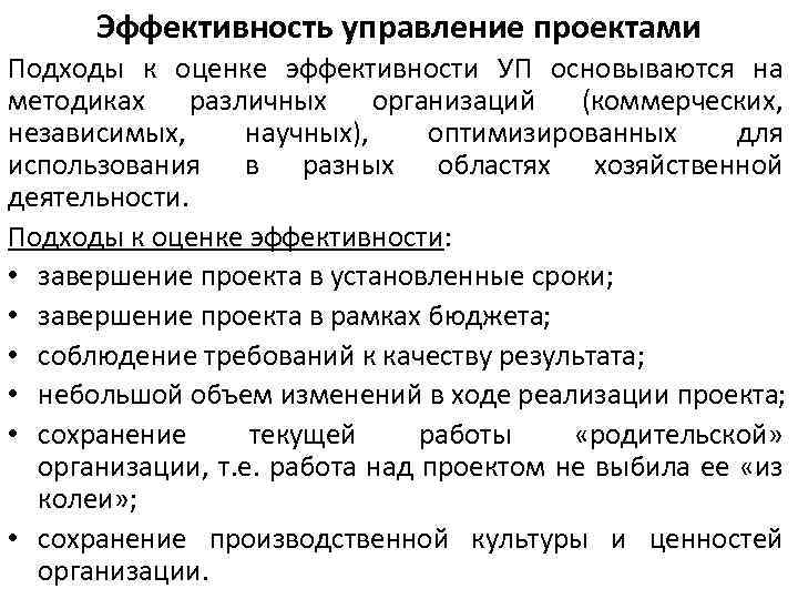 Принципы оценки эффективности проектов непосредственно связанные со спецификой конкретного проекта