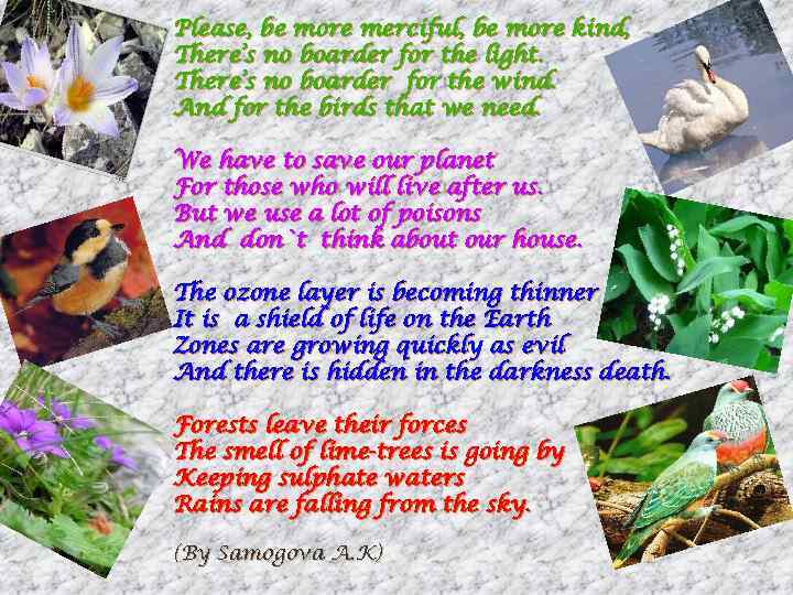 Please, be more merciful, be more kind, There’s no boarder for the light. There’s