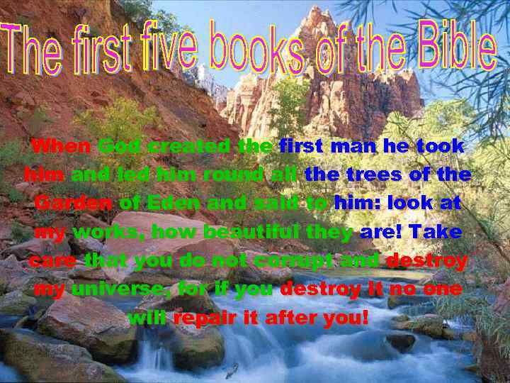 When God created the first man he took him and led him round all