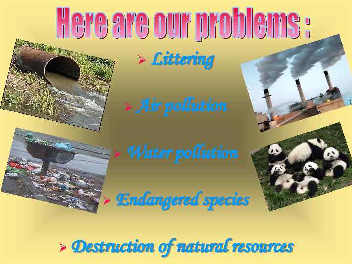 Ø Ø Ø Littering Air pollution Water pollution Endangered species Destruction of natural resources